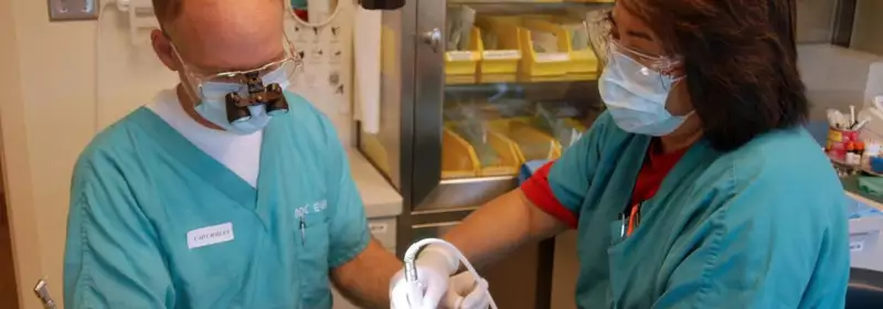 How to become a Dental Nurse